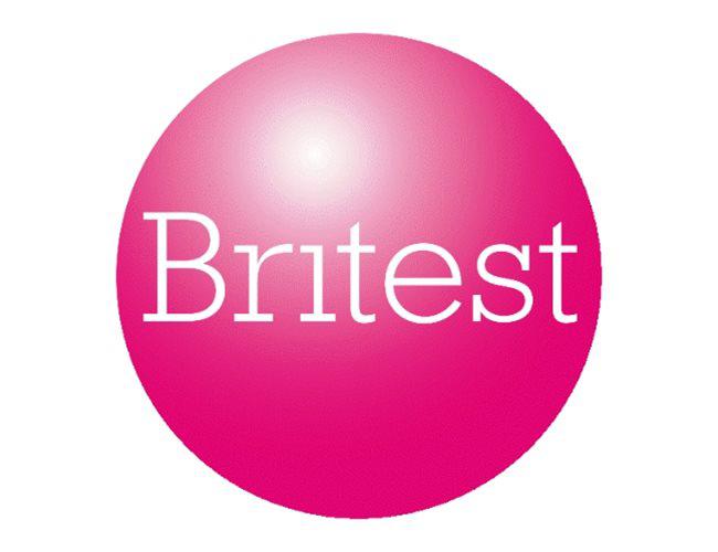 Success at the Britest Process Understanding Day 2021